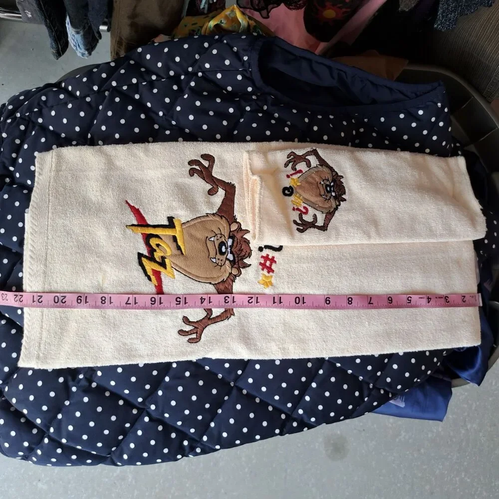 NEW Looney Toons 1993 Taz Tazmanian Devil Hand Towel Set Made In USA Vintage